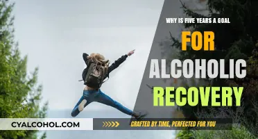 Sobriety: Five-Year Goals for Alcoholics' Long-Term Recovery
