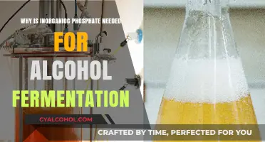 Inorganic Phosphate's Crucial Role in Alcohol Fermentation Explained
