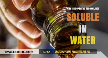 Isopentyl Alcohol's Water Insolubility: Exploring the Chemical Reasons