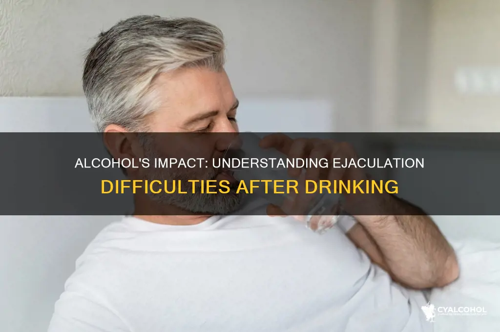 why is it hard to ejaculate after alcohol
