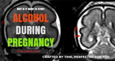Alcohol and Pregnancy: Ethical Study Challenges