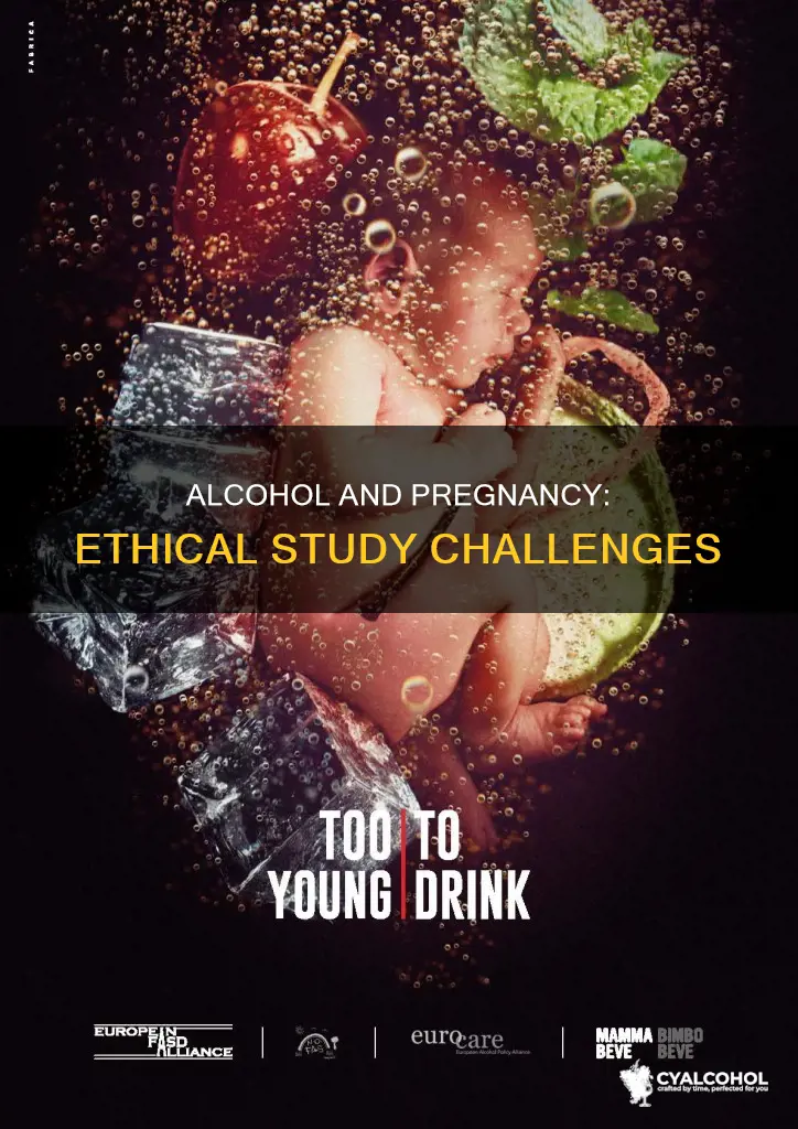 why is it hard to study alcohol during pregnancy