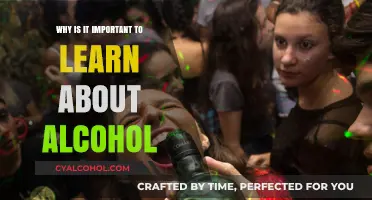 Understanding Alcohol: Why Education is Key to Responsible Choices