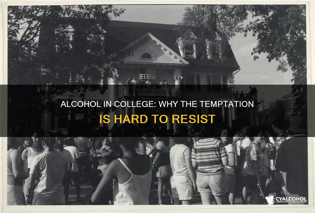 why is it so hard to resist alcohol in college