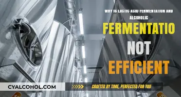 Lactic and Alcoholic Fermentation: Inefficiencies Explained