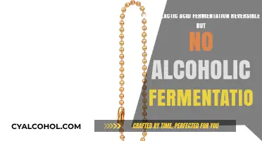 Lactic Acid Fermentation: Why Is It Reversible?