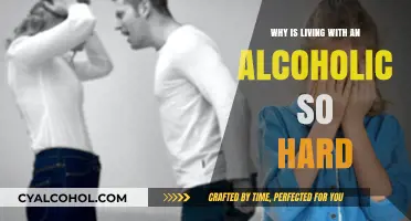 Living with an Alcoholic: The Emotional Toll and Daily Struggles