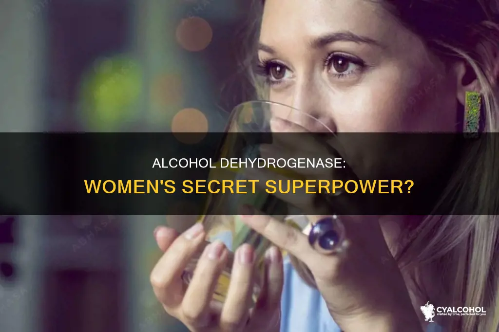 why is moderation lower for women than men alcohol dehydrogenase
