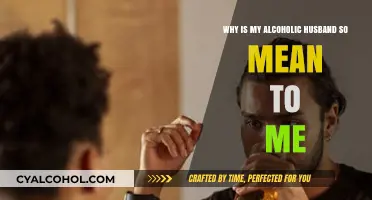 Alcoholism and Abuse: Why the Meanness?