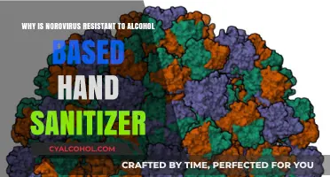 How Norovirus Evades Alcohol-Based Hand Sanitizers