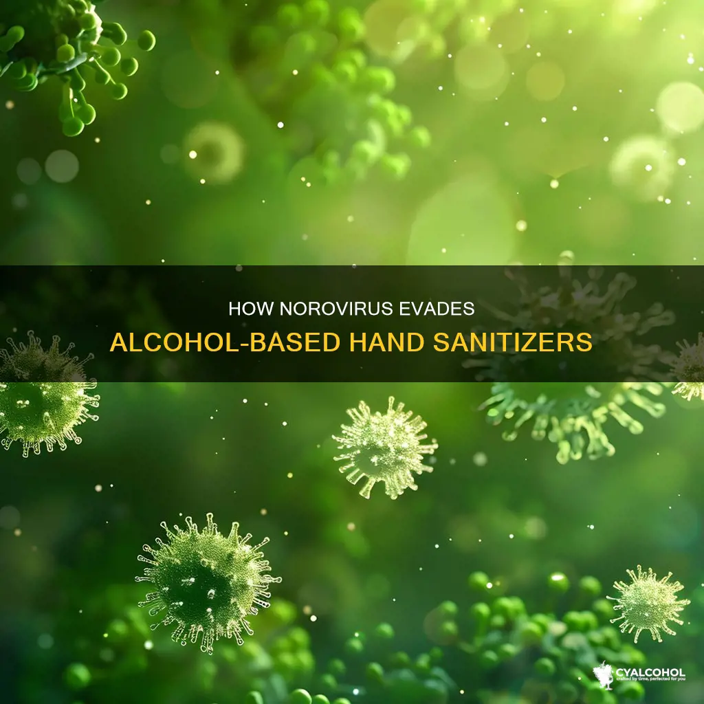 why is norovirus resistant to alcohol based hand sanitizer