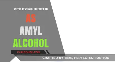 Understanding Pentanol's Amyl Alcohol Name: Origins and Chemical Insights