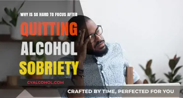 Sobriety's Challenge: Regaining Focus After Quitting Alcohol