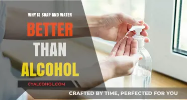 Soap and Water vs. Alcohol: Which Cleans and Protects Better?