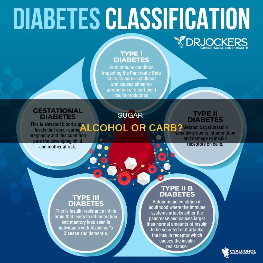 why is sugsr considered an alcohol and a carb