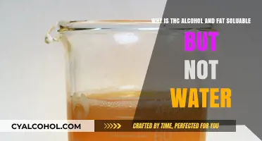 THC's Solubility: Alcohol and Fat Friendly