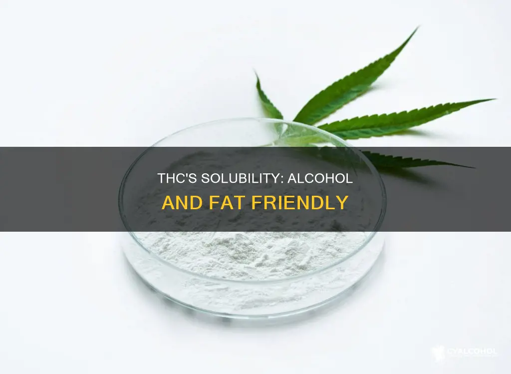 why is thc alcohol and fat soluable but not water