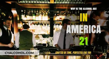 Why America Sets the Legal Drinking Age at 21