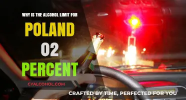 Poland's Strict Alcohol Limit for Drivers Explained
