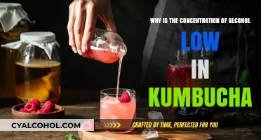 Kombucha's Alcohol Content: Why It's Low