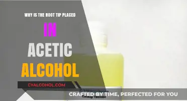 Root Tip Treatment: Acetic Alcohol's Role