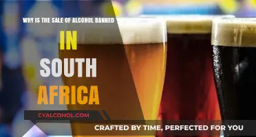 Alcohol Ban: South Africa's Dry Laws Explored