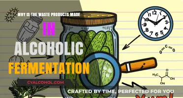 Alcoholic Fermentation: Waste Products and Their Causes