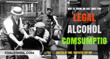 Alcohol Age Limit: Why the Restriction?
