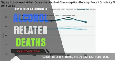 The Dark Reality of Alcohol-Related Deaths: Why the Rise?