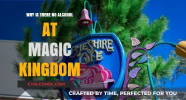 Why Magic Kingdom Stays Dry: The Alcohol-Free Disney Experience