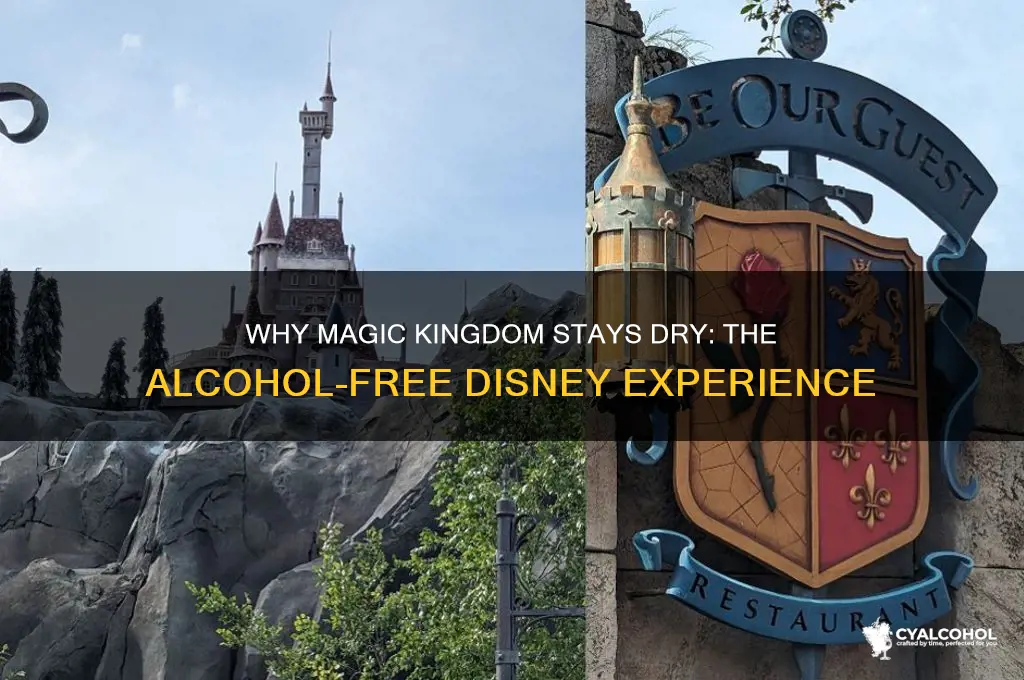 why is there no alcohol at magic kingdom