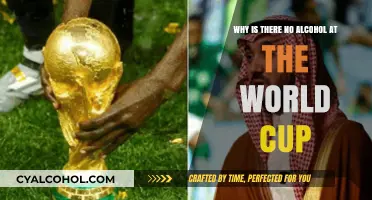 World Cup Alcohol Ban: Why?