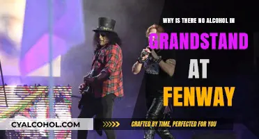 Fenway Grandstand: Alcohol-Free for a Reason