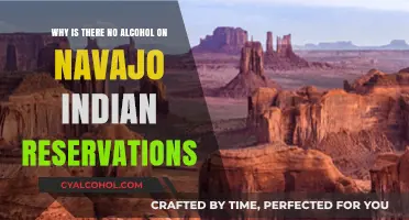 Alcohol Ban on Navajo Reservations: A Cultural Stand