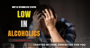 Alcohol's Impact: Understanding Low Vitamin B12 Levels in Chronic Drinkers