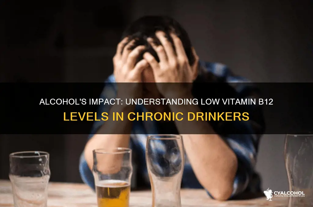 why is vitamin b12 status low in alcoholics