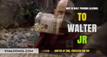 Breaking Bad's Dark Secret: Walt's Alcohol Push on Walter Jr