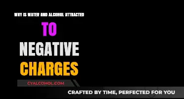 How Negative Charges Attract Water and Alcohol
