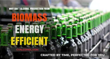 Alcohol Production from Biomass: Energy Efficiency Challenges