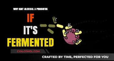 Fermented Drinks: Are Alcoholic Beverages Probiotics?