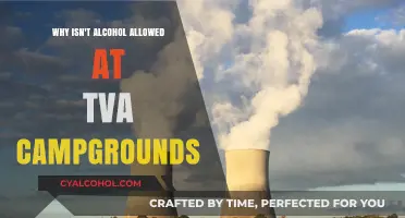 Why TVA Campgrounds Ban Alcohol: Understanding the Restrictions and Reasons