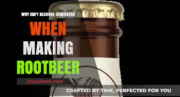 Root Beer's Secret: Why Alcohol Isn't Part of the Recipe