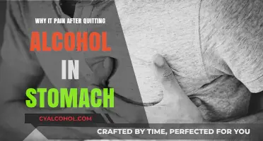 Stomach Pain After Quitting Alcohol: Causes and Relief Explained