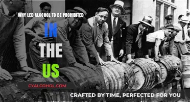 How Prohibition Shaped the US Drinking Culture