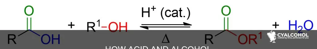 why little alcohol or carboxylic acid fisher esterification chegg