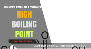 Boiling Points: Methyl Alcohol and 2-Pentanone's Unique Traits
