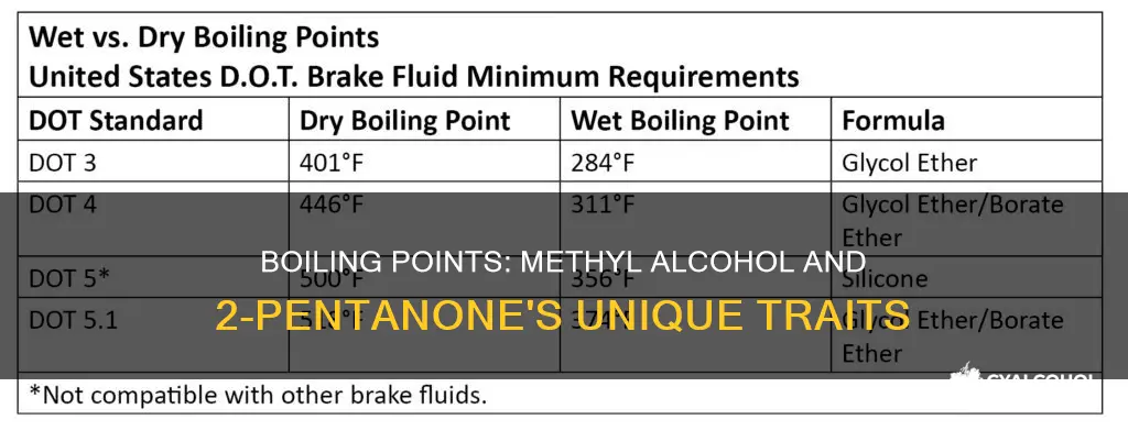 why methyl alcohol and 2 pentanone have high boiling point