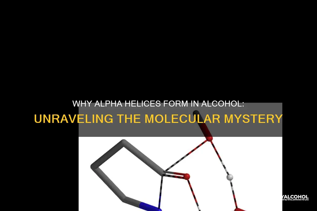 why might an alpha helix form in alcohol