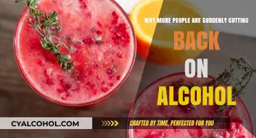Exploring the Sober-Curious Trend: Why People Are Cutting Back