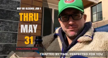 Sober Start: Embracing an Alcohol-Free Journey from January to May